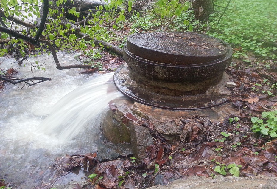 20140430 Herring Run SSO 2 notext 930x634