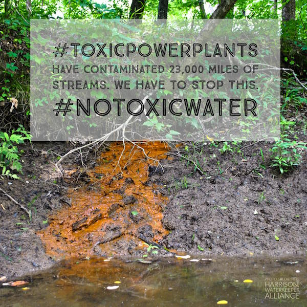 ELG 23000 stream image