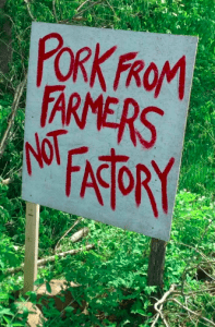 Screen Shot 2017 11 02 at 9.31.33 PM