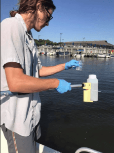 Water Quality monitoring with Assateague Coastkeeper