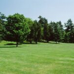 Your Lawn: How Green is that Grass