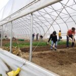 UMD Dining: As Fresh as it Gets