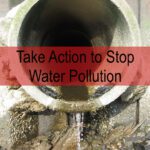 Act Now to Stop Water Pollution Violations in Maryland!
