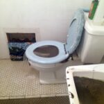 Baltimore Resident’s Experience with Sewage Backups in Her Home Led to Organizing Her Community and Assistance for Homeowners