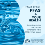 PFAS & Your Health Fact Sheet