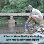 A Year in Water Quality Monitoring with Your Local Waterkeepers