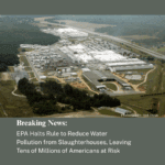 Waterkeepers Condemn EPA’s Decision to Halt Rulemaking to Reduce Water Pollution From Slaughterhouses