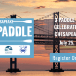 Bay Paddle - July 25, 2026