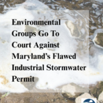 Press Statement: Environmental Groups Go To Court Against Maryland's Inadequate Industrial Stormwater Permit