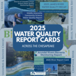 2025 Water Quality Across the Chesapeake: What Waterkeepers are Seeing in Their Watersheds